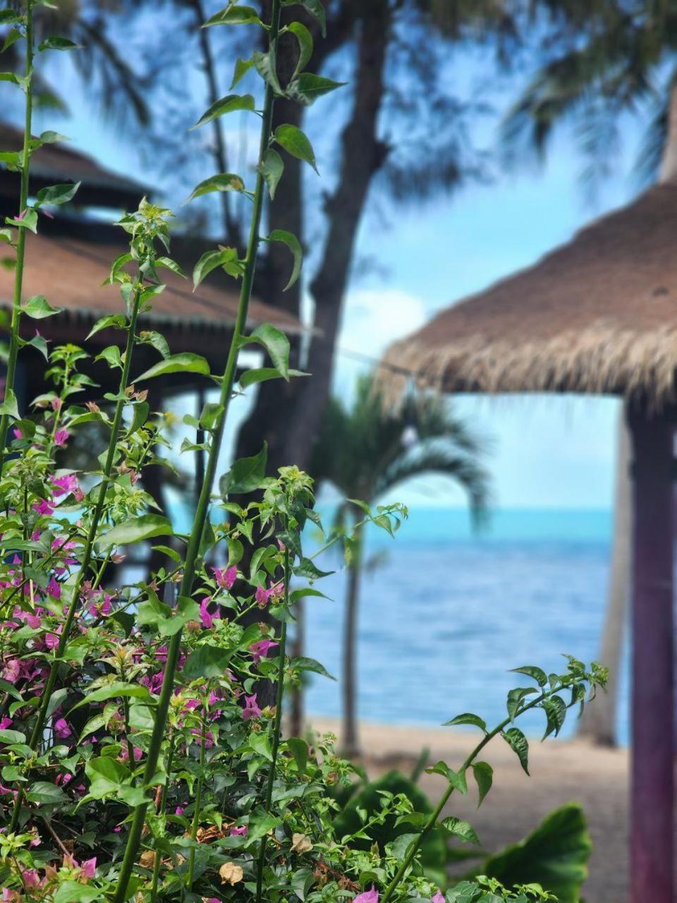 A Little Bungalows By Beach Amphoe Koksamui المظهر الخارجي الصورة